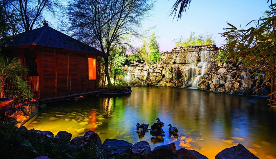 THE TREE HOUSE RESORT